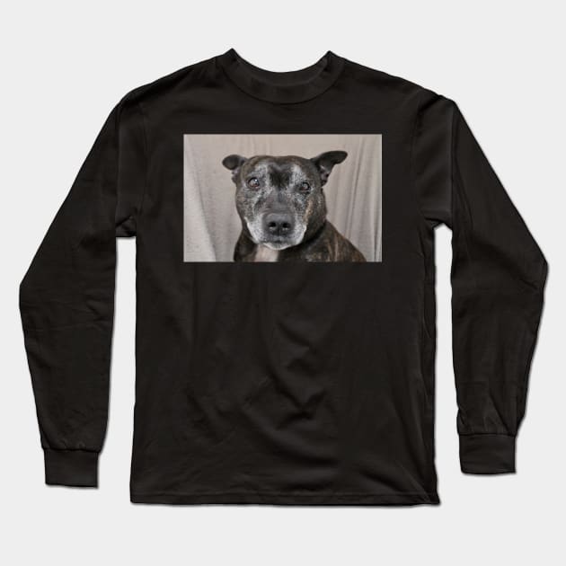 Suggs Long Sleeve T-Shirt by Ladymoose